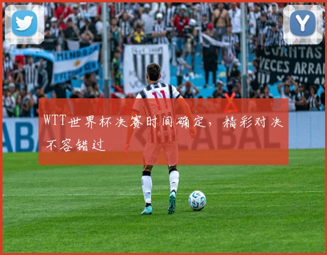 WTT世界杯决赛时间确定，精彩对决不容错过