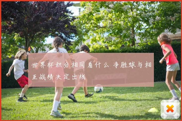 世界杯积分相同看什么 净胜球与相互战绩决定出线