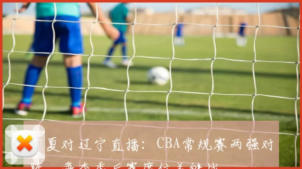 广夏对辽宁直播:CBA常规赛两强对阵,争夺季后赛席位关键战