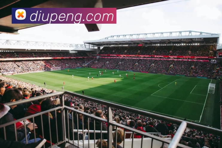 App Interface Preview